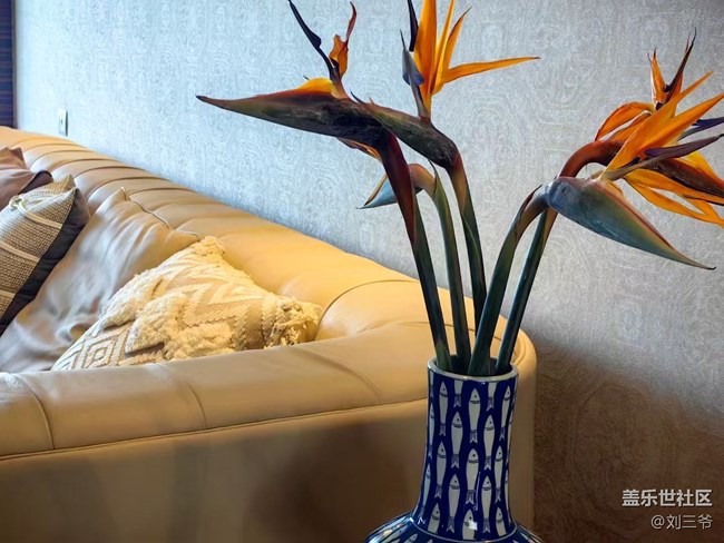 【春花浪漫】+與花相伴，邂逅美好