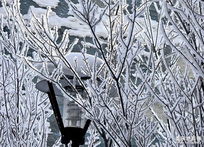 【光耀生活】+霧凇