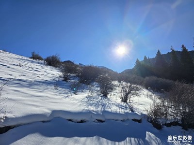 【光耀生活】+光與影的旋律