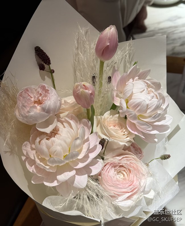 【廣州的花花們】花影搖曳,邂逅美好 【廣州的花花們】花影搖曳,邂逅美好