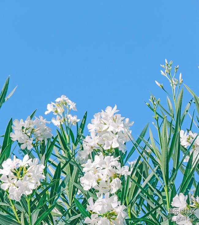 【春花浪漫】春日花事，邂逅浪漫