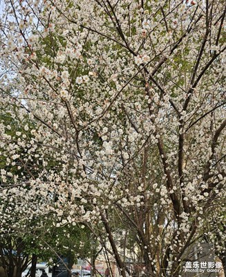 【光耀生活】+身邊拍