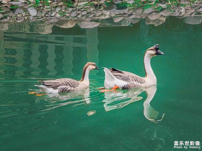 三星Galaxy S25UItra長焦影像