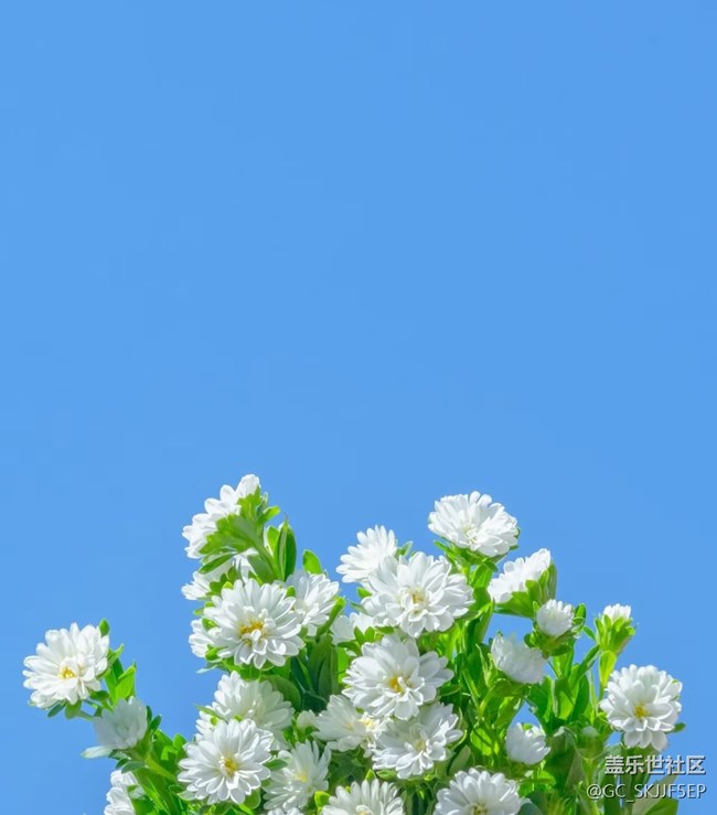 【春花浪漫】春日花事，邂逅浪漫