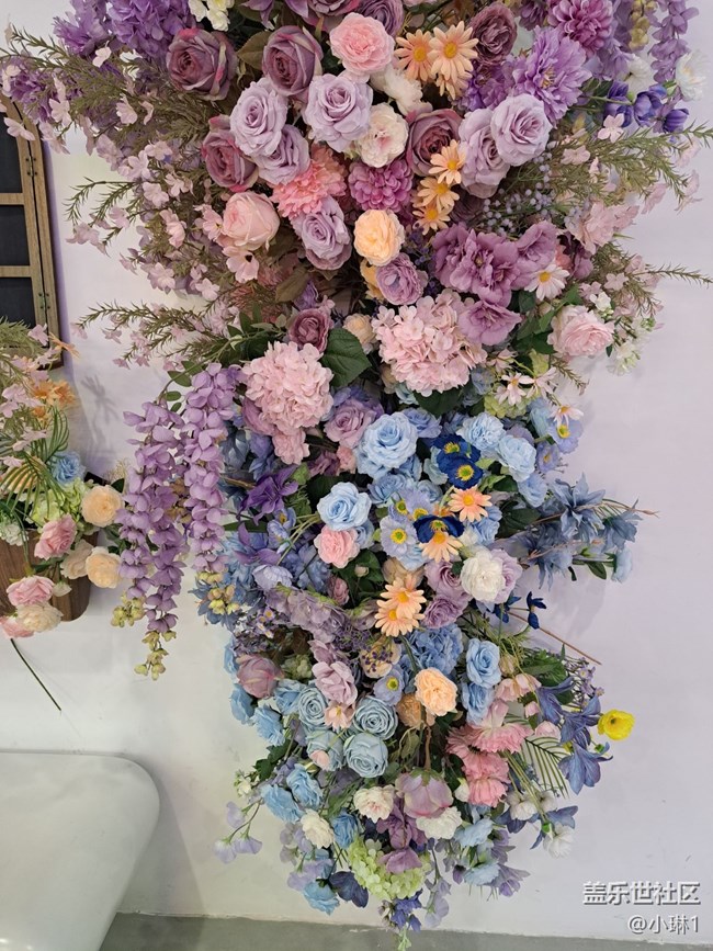 【廣州的花花們】拍照好背景