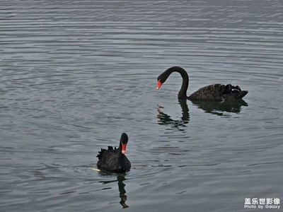 【光耀生活】路上的風(fēng)光