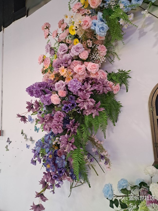 【廣州的花花們】拍照好背景