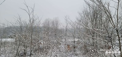 【光耀生活】+路邊隨拍