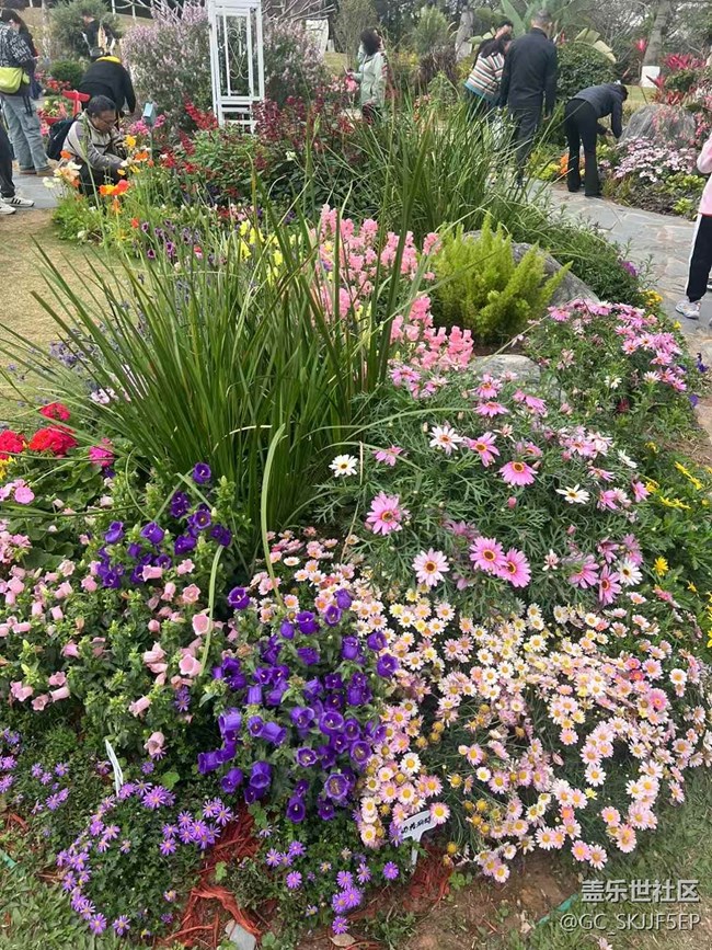 【春花浪漫】+鏡頭里的四季詩意