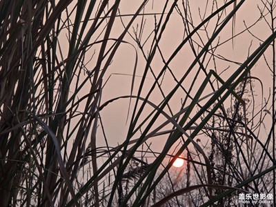 【光耀生活】生活，好好活著