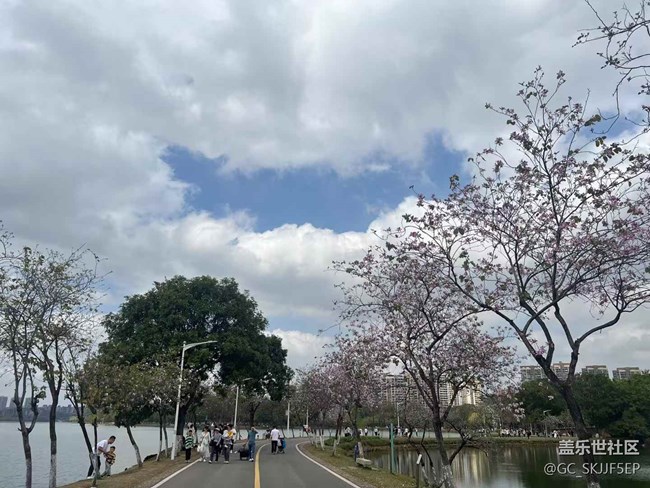 【春花浪漫】+鏡頭里的四季詩意