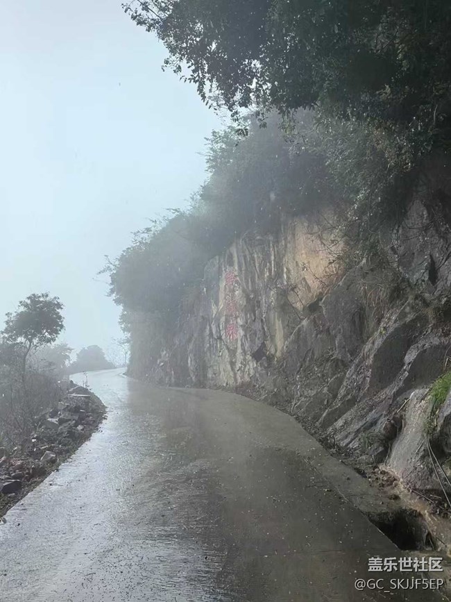 【相冊里的年味】+霧中深山，邂逅詩意