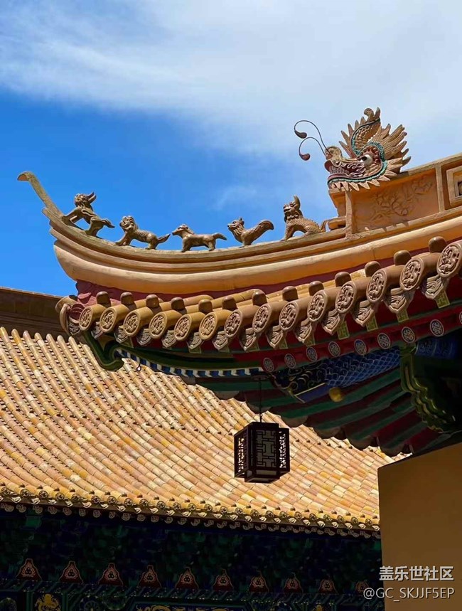 【相冊(cè)里的年味】普陀山：一場(chǎng)心靈的朝圣之旅