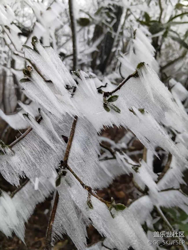 【相冊里的年味】+邂逅霧凇奇景