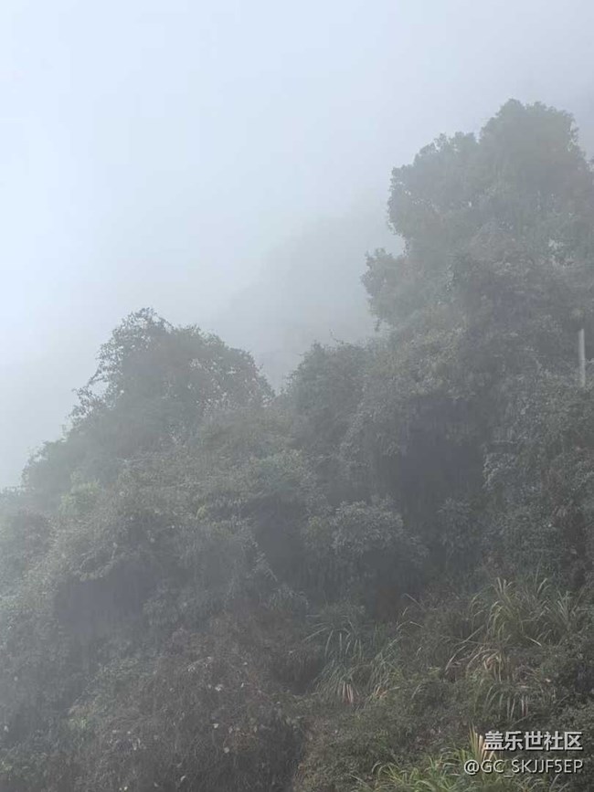 【相冊里的年味】+霧中深山，邂逅詩意