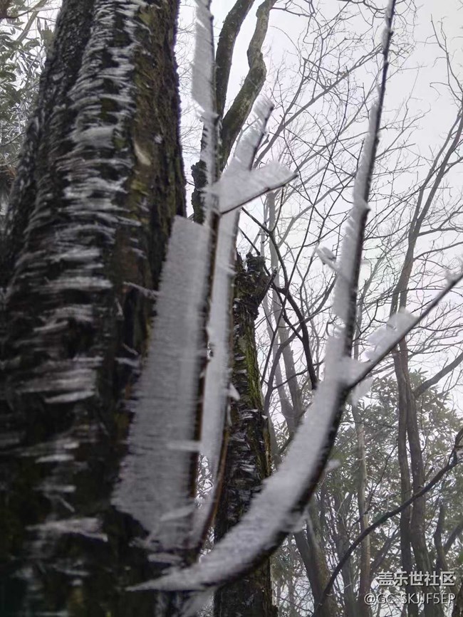 【相冊里的年味】+邂逅霧凇奇景