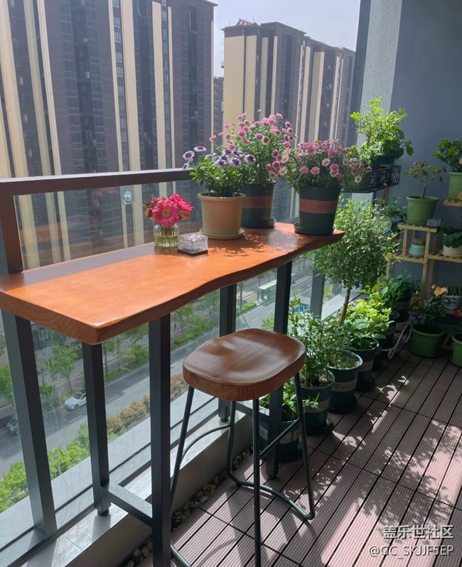 【廣州的花花們】+陽臺一隅，藏著生活的詩