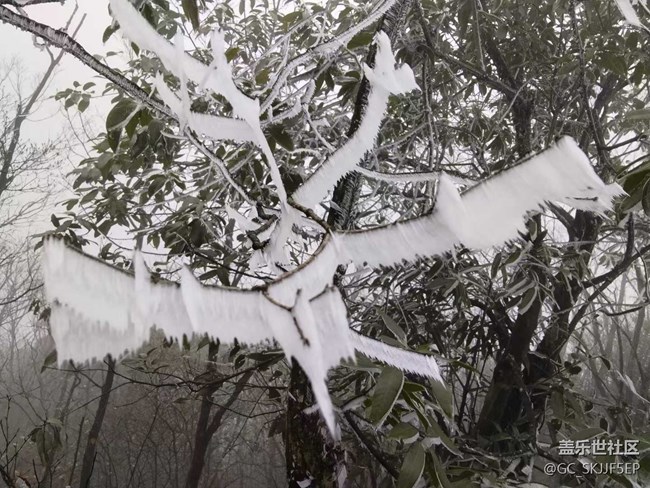 【相冊里的年味】+邂逅霧凇奇景