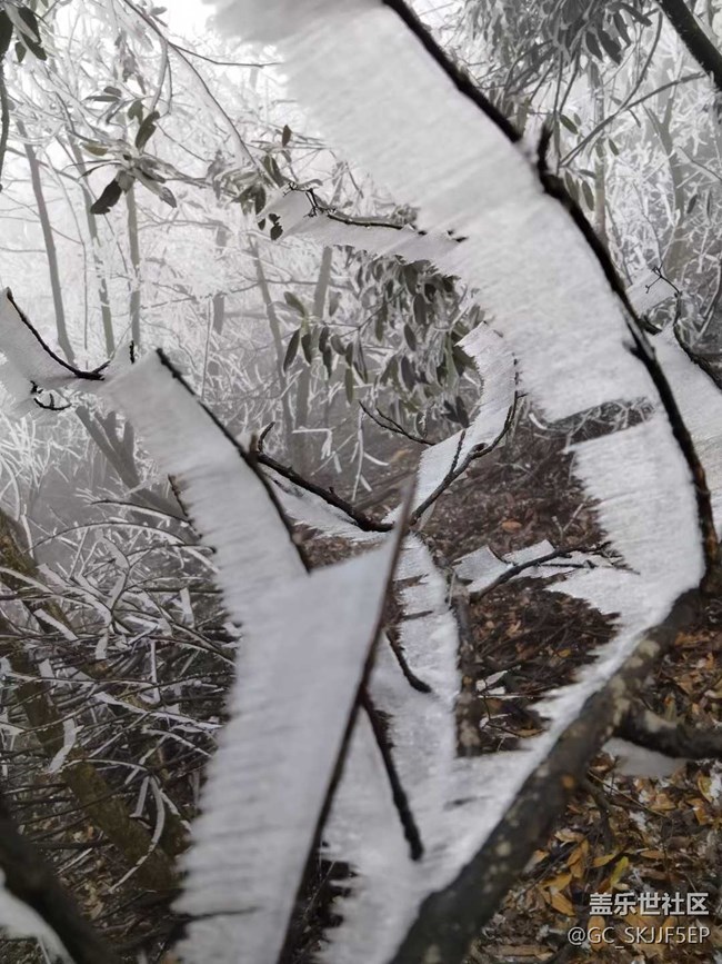 【相冊里的年味】+邂逅霧凇奇景
