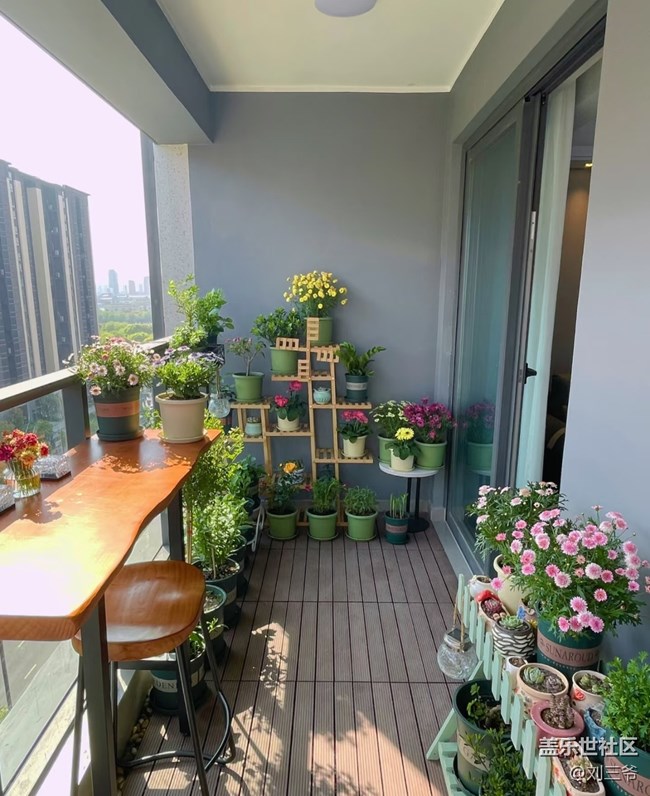 【廣州的花花們】陽臺(tái)小花園，我的詩與遠(yuǎn)方