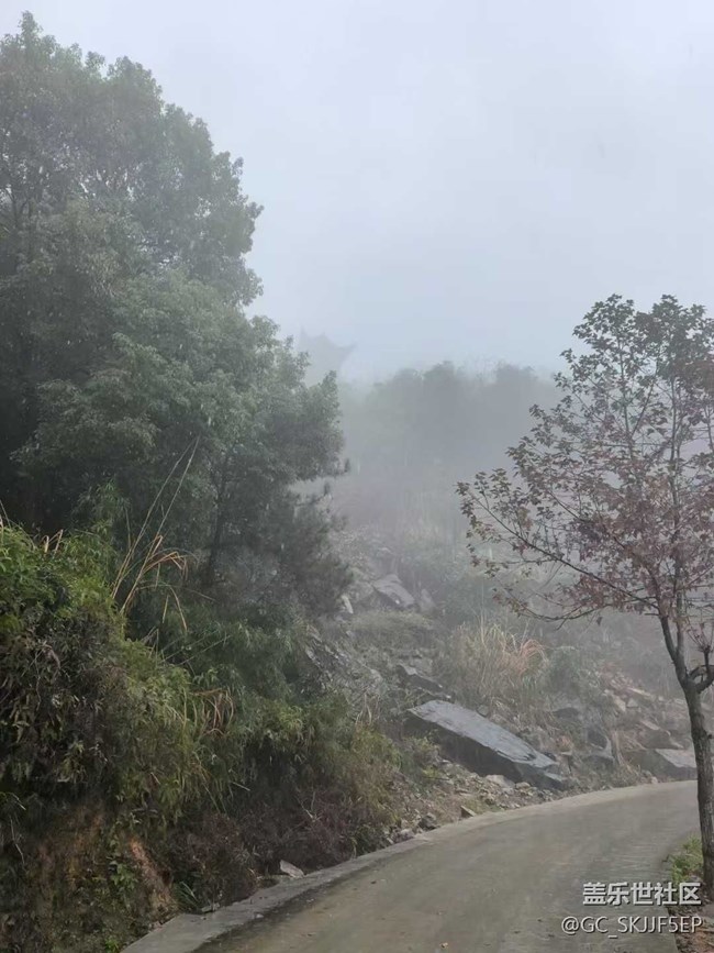 【相冊里的年味】+霧中深山，邂逅詩意