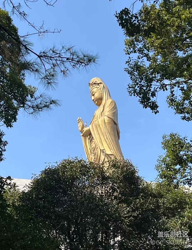 【相冊(cè)里的年味】普陀山：一場(chǎng)心靈的朝圣之旅