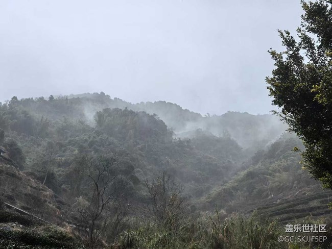 【相冊里的年味】+霧中深山，邂逅詩意