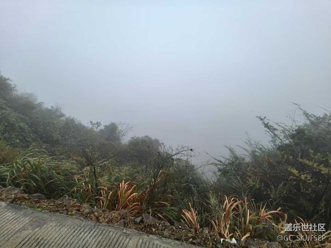 【相冊里的年味】+霧中深山，邂逅詩意