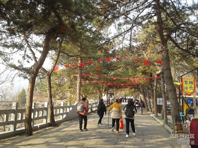 【光耀生活】+春日登山