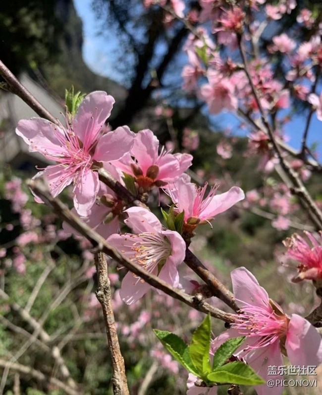 【約定3月的旅行】醉美自然