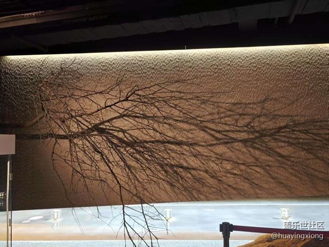 【龍華citywalk線下攝影活動】+被三星手機鏡頭下的龍華會驚艷到?