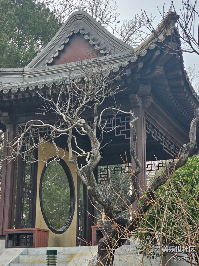 【春日序曲】周末尋春