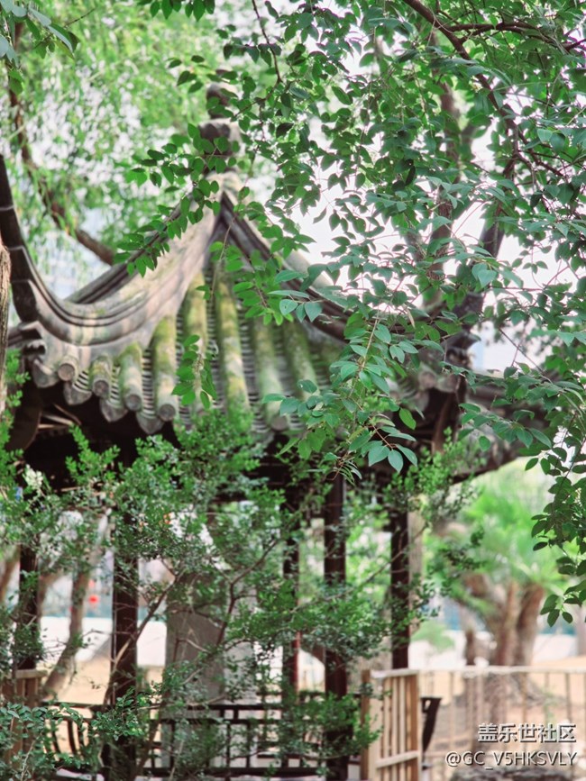 #煙花三月——龍華寺