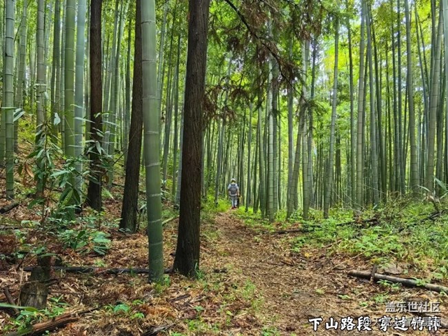 南嶼山環(huán)線徙步登山（二）