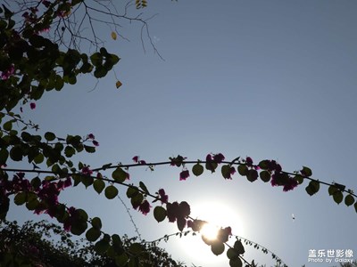 【光耀生活】+ 光耀生活