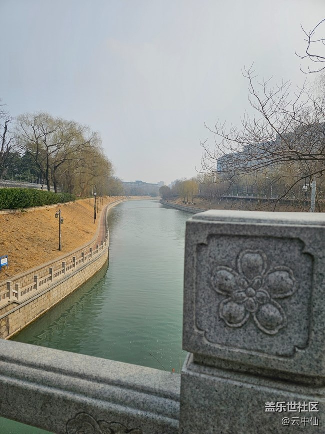 【春日序曲】柳綠