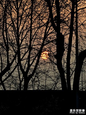 【光耀生活】+向光而行