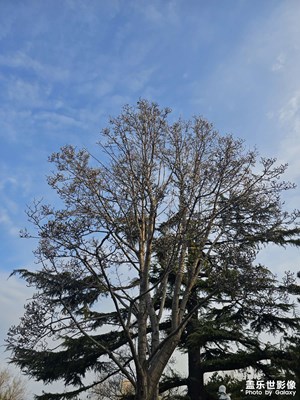 【光耀生活】+春暖花開