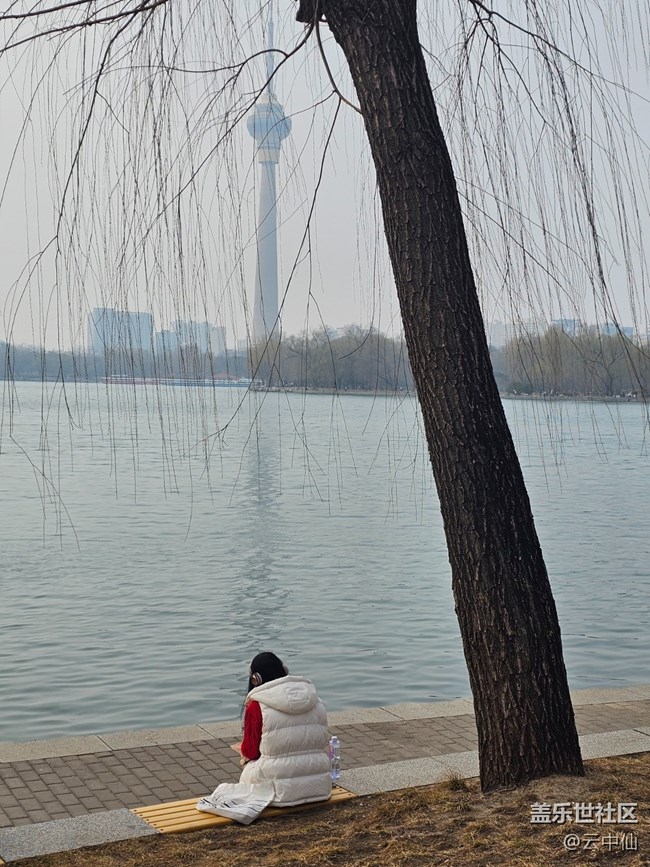 【春日序曲】春日游園