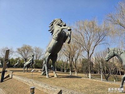 【光耀生活】+晴朗的春日