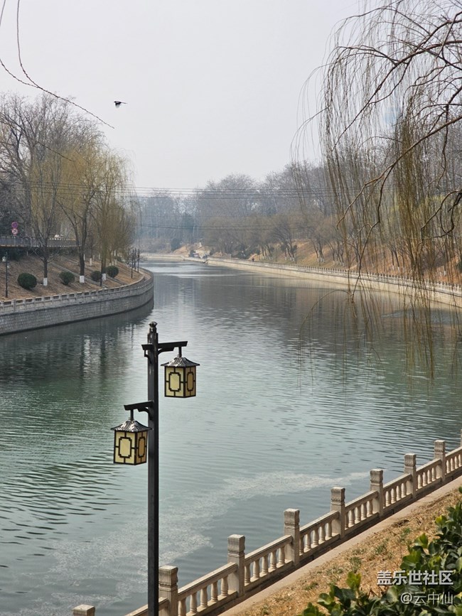 【春日序曲】柳綠