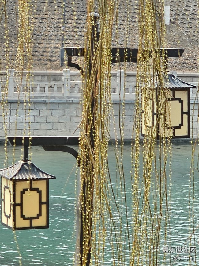 【春日序曲】柳綠