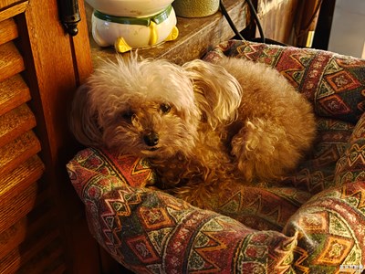 【光耀生活】+城市拍拍