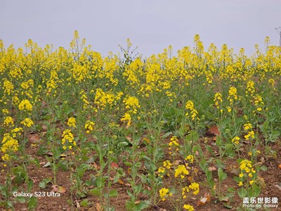 【光耀生活】+周末外出