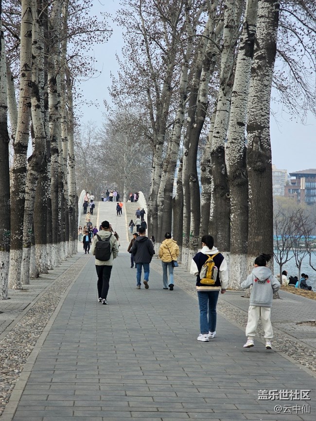 【春日序曲】春日游園