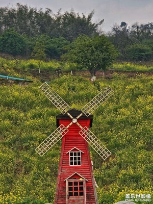 【光耀生活】+踏青