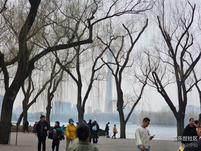 【春日序曲】春日游園