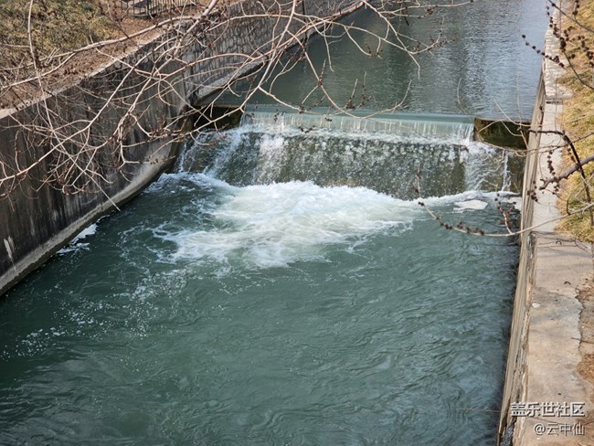 【春日序曲】柳綠