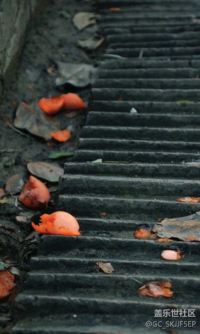 【春花浪漫】尋跡古意，邂逅時光之美
