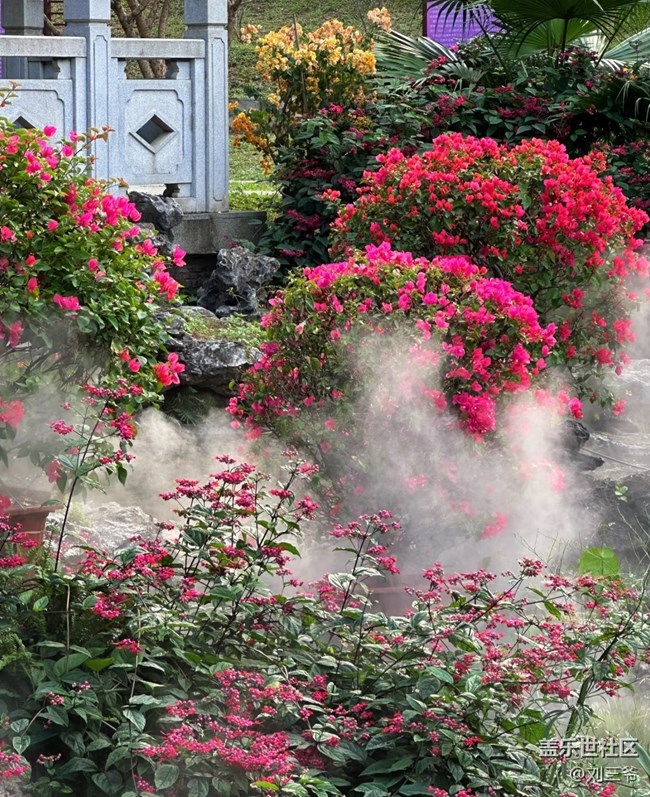 【廣州的花花們】闖入現(xiàn)實(shí)版莫奈花園